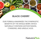 NaturesPlus Herbal Actives Black Cherry - 30 Comprimidos - Apoyo Antioxidante de Liberación Prolongada - Vegetariano, Sin Gluten