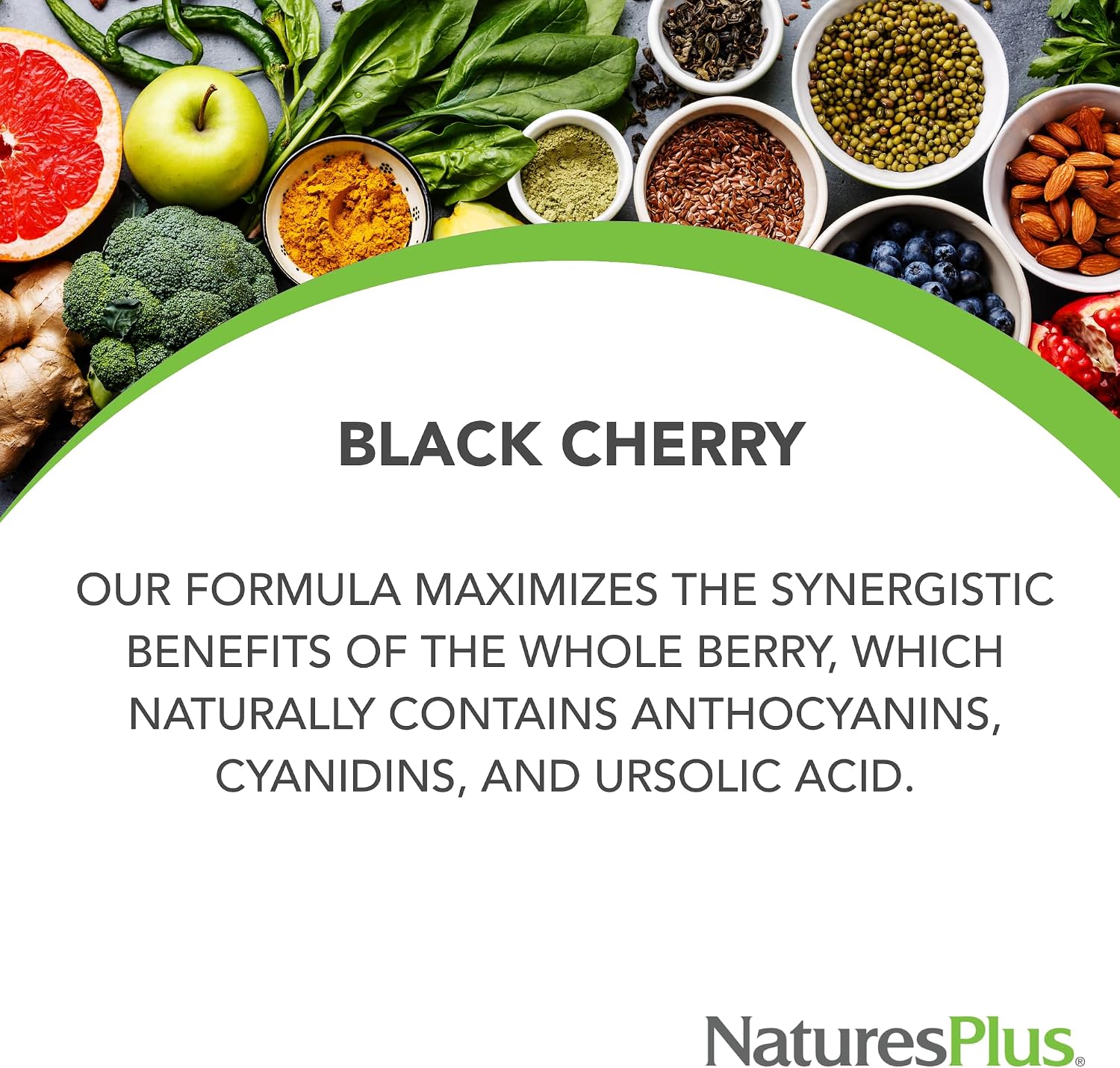 NaturesPlus Herbal Actives Black Cherry - 30 Comprimidos - Apoyo Antioxidante de Liberación Prolongada - Vegetariano, Sin Gluten