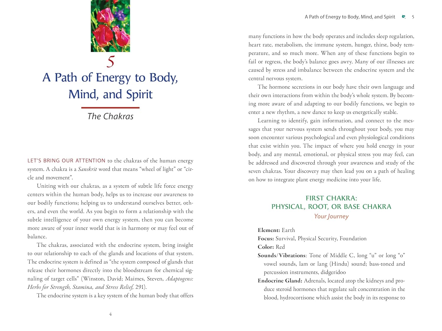 Plant Energy Medicine: The Guiding Voice and Healing Vibration of 58 Plants (Sacred Planet)