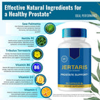 IDEAL PERFORMANCE Jertaris Cápsulas, Suplemento para la Salud de la Próstata - Fórmula Extra Fuerte, Todo Natural (Paquete de 3)