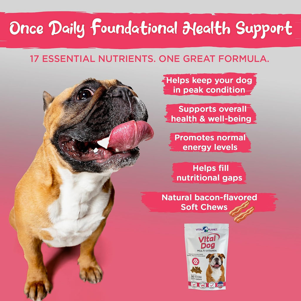 Vital Planet - Vital Dog Multivitamínico para la Salud Diaria con Vitaminas, Minerales y Antioxidantes - 30 Golosinas Blandas Sabor a Bacon
