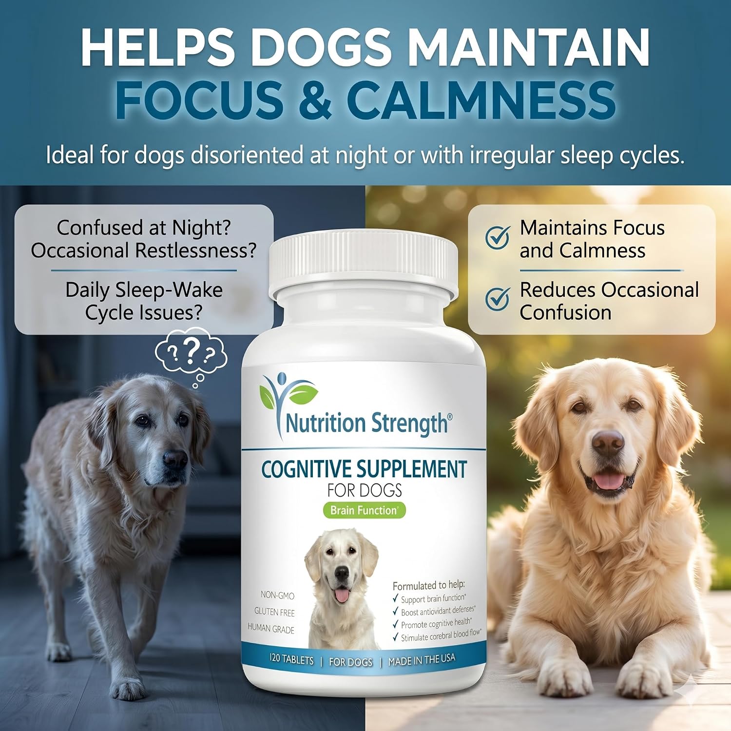 Nutrition Strength Apoyo Cognitivo para Perros – 120 Comprimidos Masticables para la Salud Cerebral y Mental