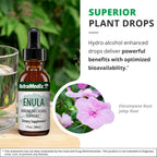 NutraMedix Enula Gotas Líquidas - Extracto de Raíz de Elecampane y Jalapa para Apoyo Inmunológico y Antioxidante - Suplemento Herbal Biodisponible (30 ml)
