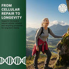 GenuinePurity Espermidina Liposomal 8 mg - 60 Cápsulas - Extracto de Germen de Trigo - Vegano, Sin Gluten, No-GMO