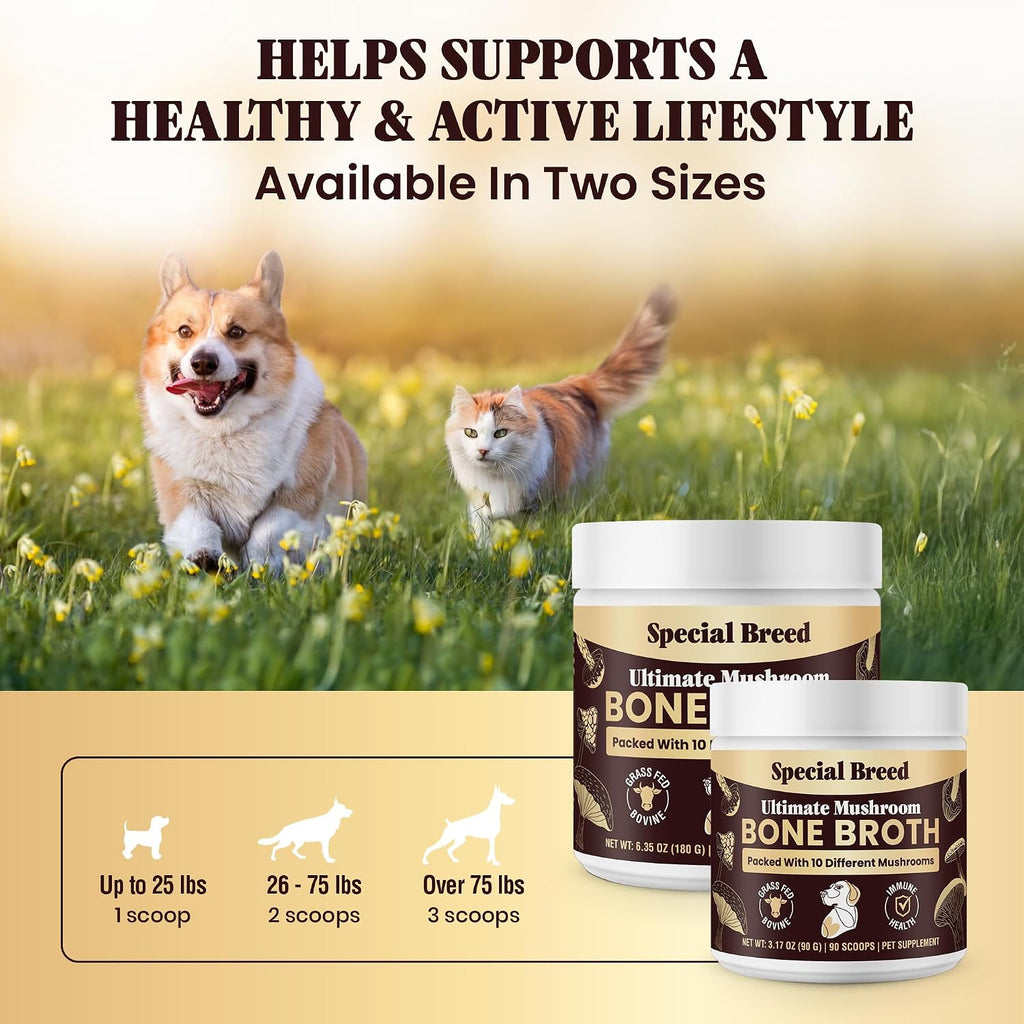 Special Breed Caldo de Huesos de Res para Perros - Proteína Alta con 10 Setas Orgánicas y Colágeno