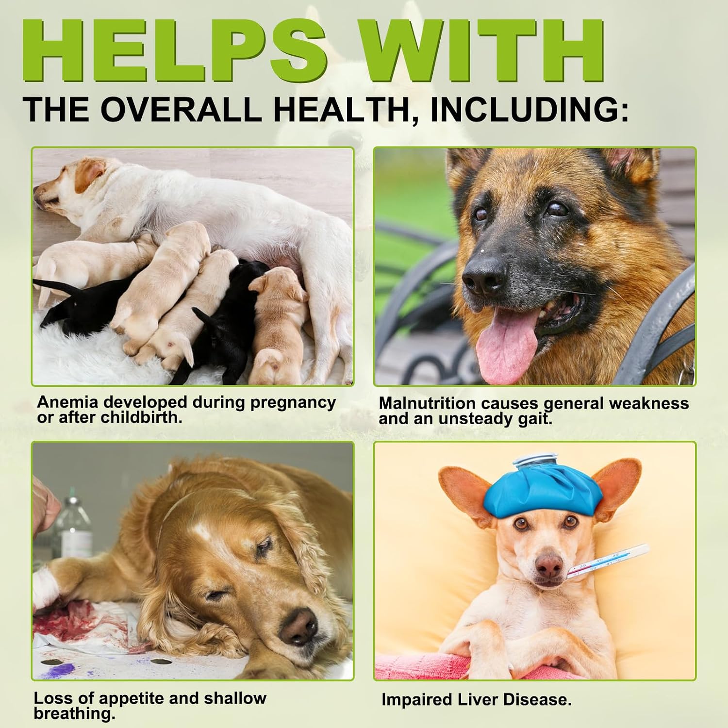 ALIVO Cardo Mariano para Perros con EPA y DHA - 180 Tabletas Masticables