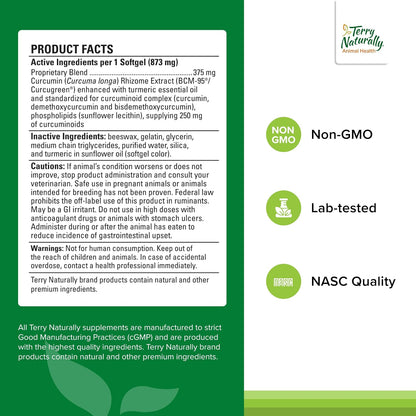 Terry Naturally Curacel Curcumin - Suplemento Antioxidante para Perros - 60 Cápsulas Blandas – Image 2