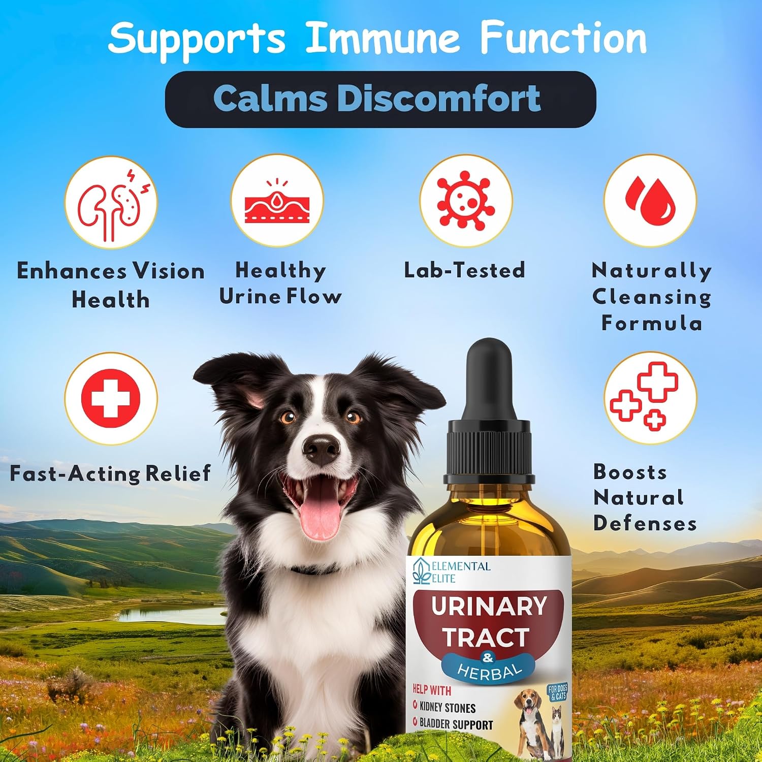 EDUZEBRA Gotas para la Salud Urinaria de Perros y Gatos – Suplemento Herbal Natural con Arándano Rojo