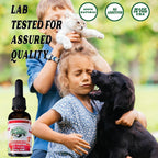 Pet Hemp Oil - Aceite de Cáñamo y Hierba Gatera para Perros y Gatos | 120mg Orgánico | Green Planet Hemp