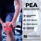 Nootropics Depot Palmitoiletanolamida (PEA) 400mg Cápsulas - Apoyo Articular, Nervioso e Inmune - 180 Cápsulas