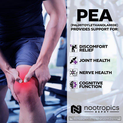 Nootropics Depot Palmitoiletanolamida (PEA) – Movilidad y confort articular: El consumo regular de PEA puede – Image 4