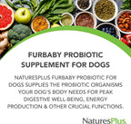 NaturesPlus FurBaby Probiótico para Perros - 269 g - Apoya la Salud Digestiva, Cardíaca, Hepática e Inmunológica - 60 Dosis