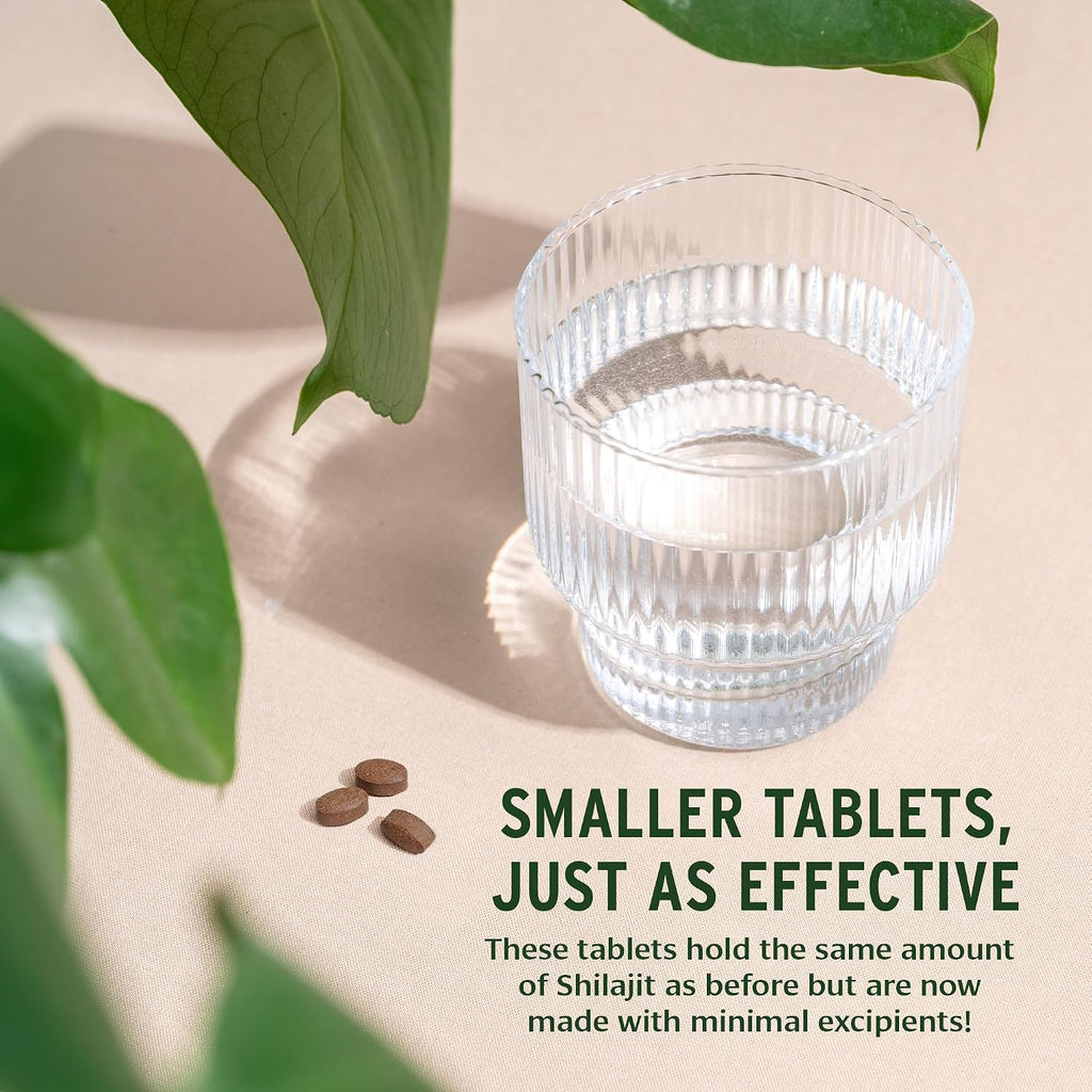 Banyan Botanicals Shilajit – 90 Tabletas Prensadas Puras para Energía y Vitalidad
