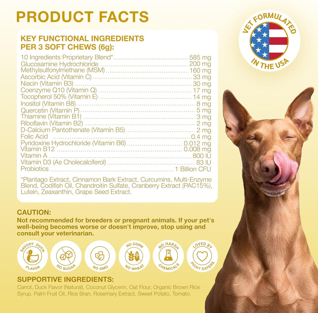 Kinpur Pet Care Multivitamínico 20 en 1 para Perros – 180 Masticables Blandos