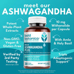 Bold Botanica Ashwagandha Plus – Suplemento de Ashwagandha con Amla y Albahaca Santa – 30 Cápsulas Veganas