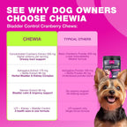 Suplemento de arándano rojo para perros – Salud de vejiga y riñones – CHEWIA