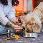 Complejo Vitamínico B para Perros, Apoya el Metabolismo y Aumenta los Niveles de Energía, 50 ml (Pack de 6)