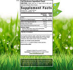 Irwin Naturals One-Per-Day Mega B-12 1.500 mcg Metilcobalamina - Absorción Rápida con MCT y Ginseng Asiático - 60 Cápsulas Blandas Líquidas