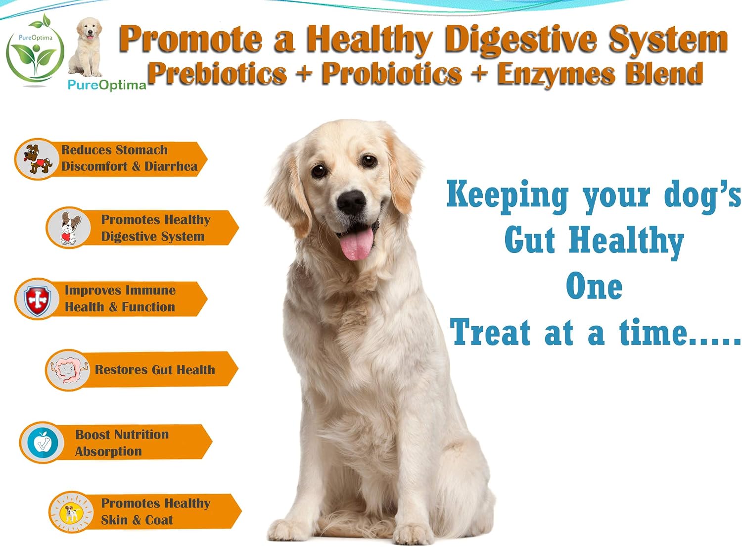 PureOptima Probióticos para Perros, Masticables con Enzimas Digestivas y Prebióticos, 120 Unidades