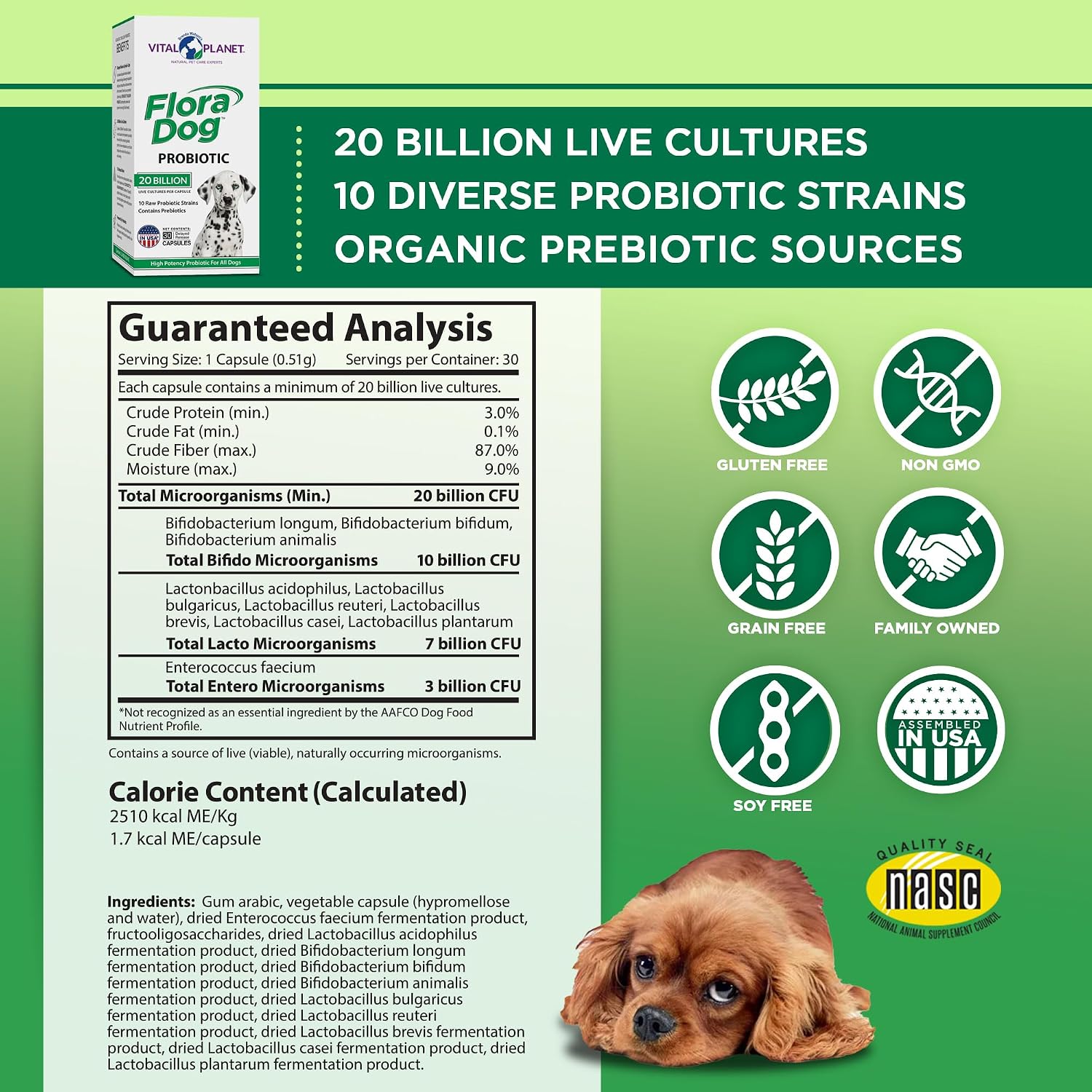Vital Planet Flora Dog Probióticos para Perros – 20 Mil Millones de Cultivos, 10 Cepas – 30 Cápsulas de Liberación Retardada