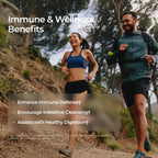 Livingood Daily Immune Support Supplement, 4 en 1 con Aceite de Orégano, Monolaurina, L-Lisina y Quercetina, 120 Cápsulas