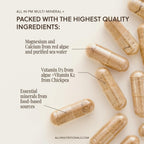 All In Nutritionals PM Multi-Mineral+ - Minerales Integrales para la Noche, Vegano