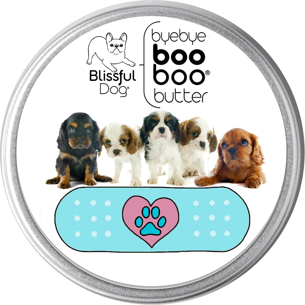The Blissful Dog 2 oz LATA Mantequilla Booboo para Cavalier King Charles Spaniel