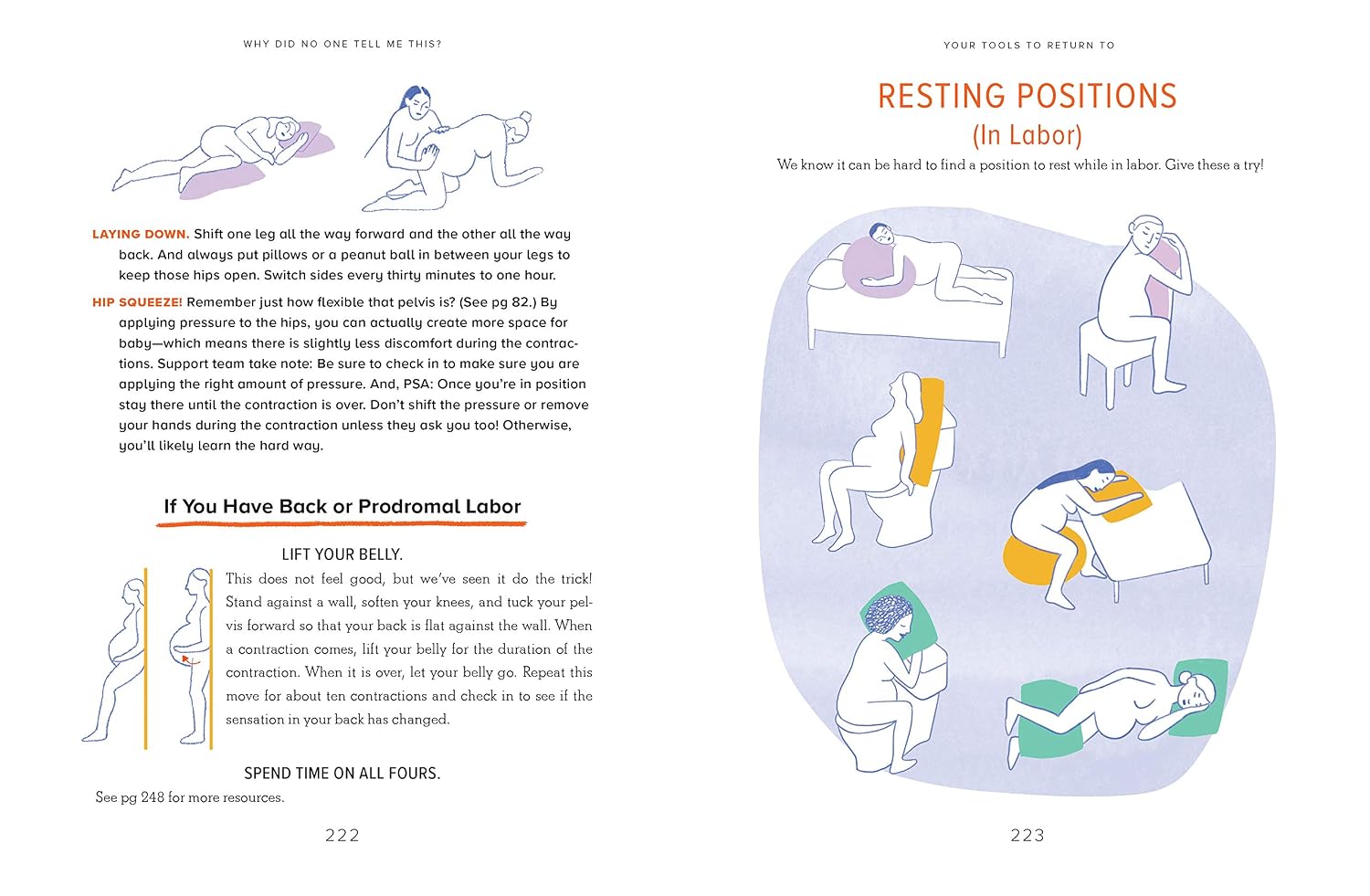 Why Did No One Tell Me This?: The Doulas' (Honest) Guide for Expectant Parents