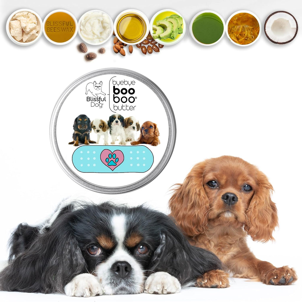 Boo Butter Bálsamo para Perros Cavalier King Charles Spaniel - 454 g (16 oz)