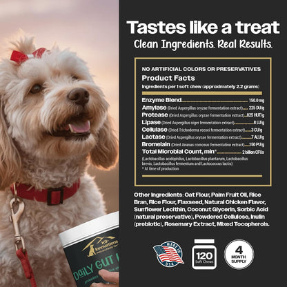 K9-Innovations Probióticos para Perros - – Refuerzo inmunitario: Una parte importante del sistema inmunitario se – Image 2