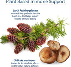 Rx Vitamins Immuno Support: Apoyo Inmunológico para Perros y Gatos - 60 cápsulas con Shiitake, Arabinogalactano y Luteína