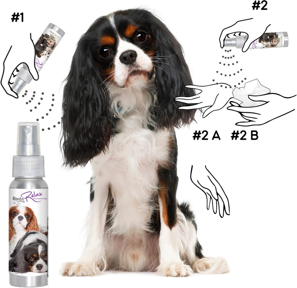 The Blissful Dog Spray de aromaterapia relajante para perros Cavalier King Charles Spaniel para la ansiedad de tu perro