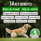 Omega 3 Fish Oil for Dogs & Cats - Aceite de Pescado con Aceite de Salmón Salvaje de Alaska - Suplemento Líquido con Omega 3 EPA+DHA
