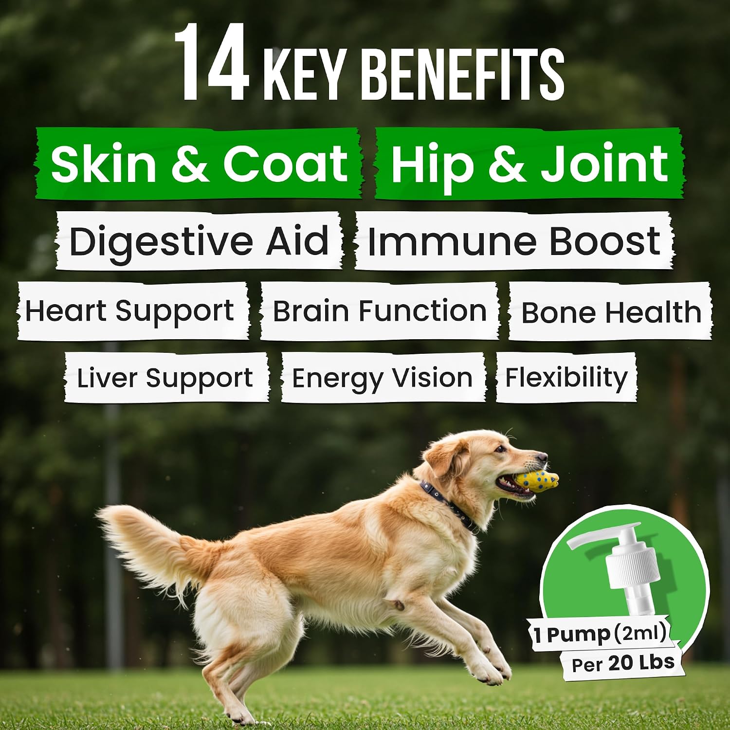 Omega 3 Fish Oil for Dogs & Cats - Aceite de Pescado con Aceite de Salmón Salvaje de Alaska - Suplemento Líquido con Omega 3 EPA+DHA