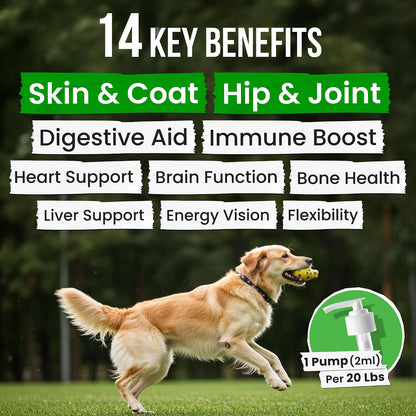 Omega 3 Fish Oil for Dogs & Cats - Aceite de – Corazón: Los ácidos grasos esenciales apoyan la salud – Image 8