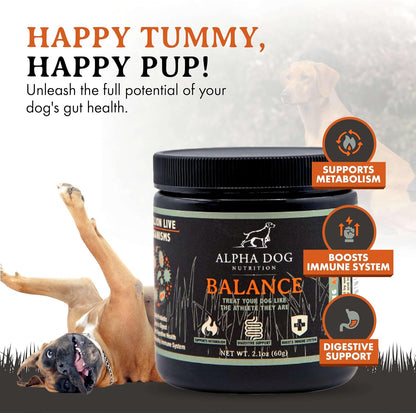 Balance Probiotic Blend for Dogs by Alpha – Bienestar durante cambios de alimentación: Cuando se introduce un – Image 4