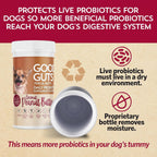 Good Guts Probióticos para Perros Pequeños – Polvo Digestivo con 3B UFC, Enzimas y Prebióticos