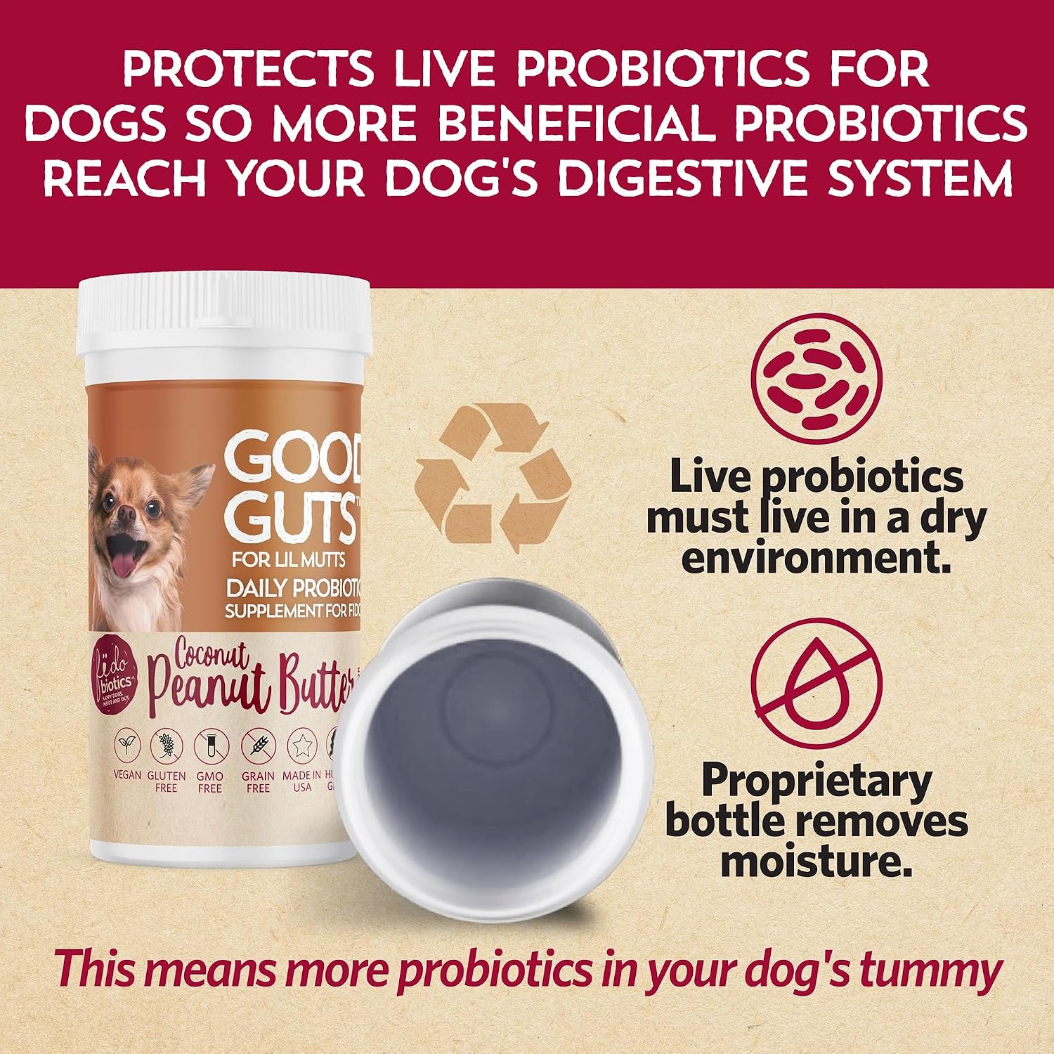Good Guts Probióticos para Perros Pequeños – Polvo Digestivo con 3B UFC, Enzimas y Prebióticos