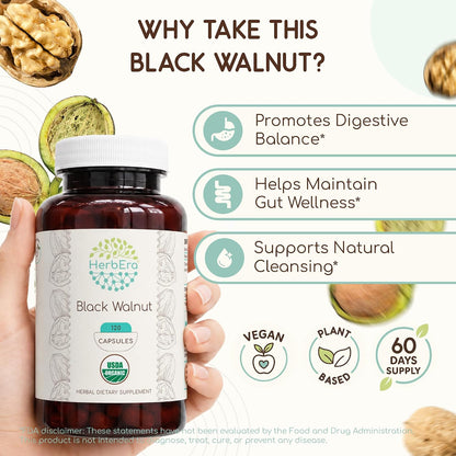HerbEra Black Walnut 500 mg - Cápsulas Veganas Orgánicas USDA - Apoyo Digestivo y Antioxidante (120 Cápsulas) – Image 2