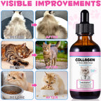 Colágeno para Gatos con MSM y Jengibre - Suplemento Líquido para Piel, Pelaje y Articulaciones (59 ml)