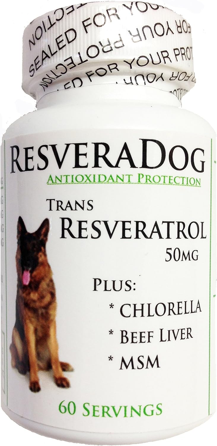 Resveradog: Dog 99% Tran Resveratrol Powder – Resveratrol trans (99%): Antioxidante derivado de fuentes vegetales. – Image 1