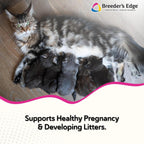 Breeder's Edge Oxy Mate - Suplemento Prenatal para Perras y Gatas Gestantes - 30 Masticables
