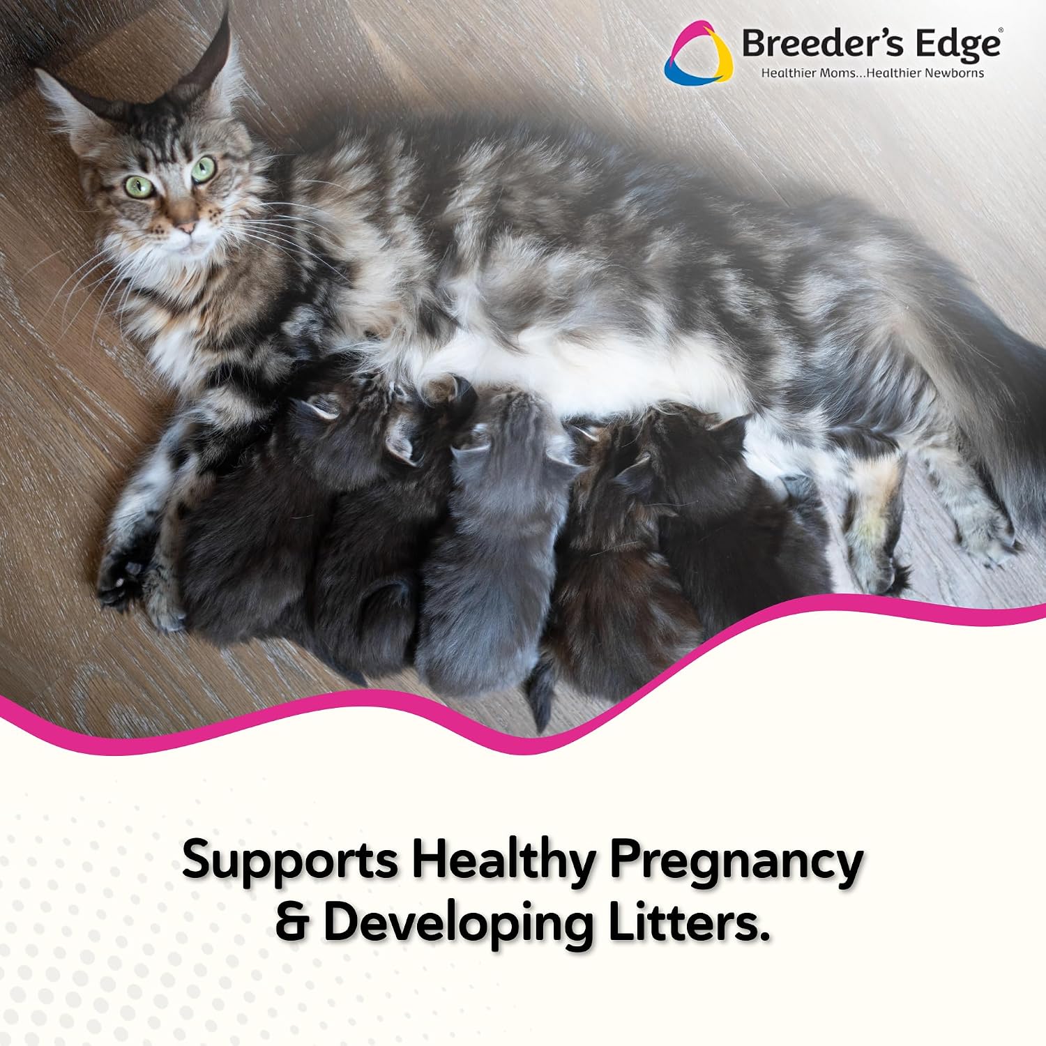 Breeder's Edge Oxy Mate - Suplemento Prenatal para Perras y Gatas Gestantes - 30 Masticables
