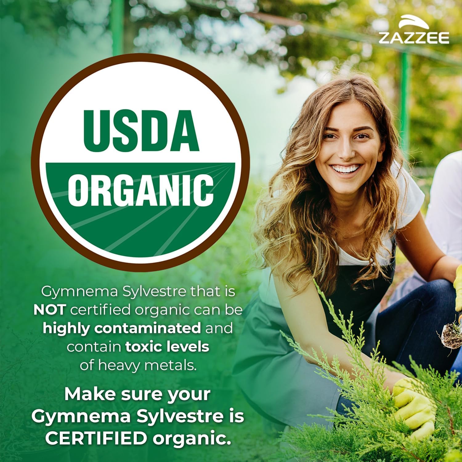 Zazzee USDA Organic Extracto de Gymnema Sylvestre 25:1, 25% Ácido Gimnémico, 120 Cápsulas Veganas