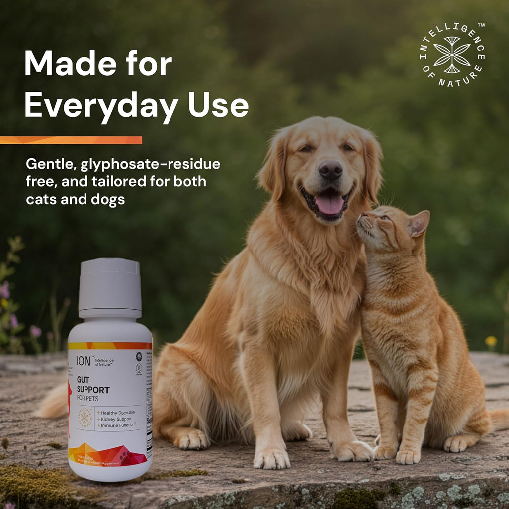ION* Gut Support For Pets - Suplemento Líquido para la Salud Intestinal de Perros y Gatos - 473 ml