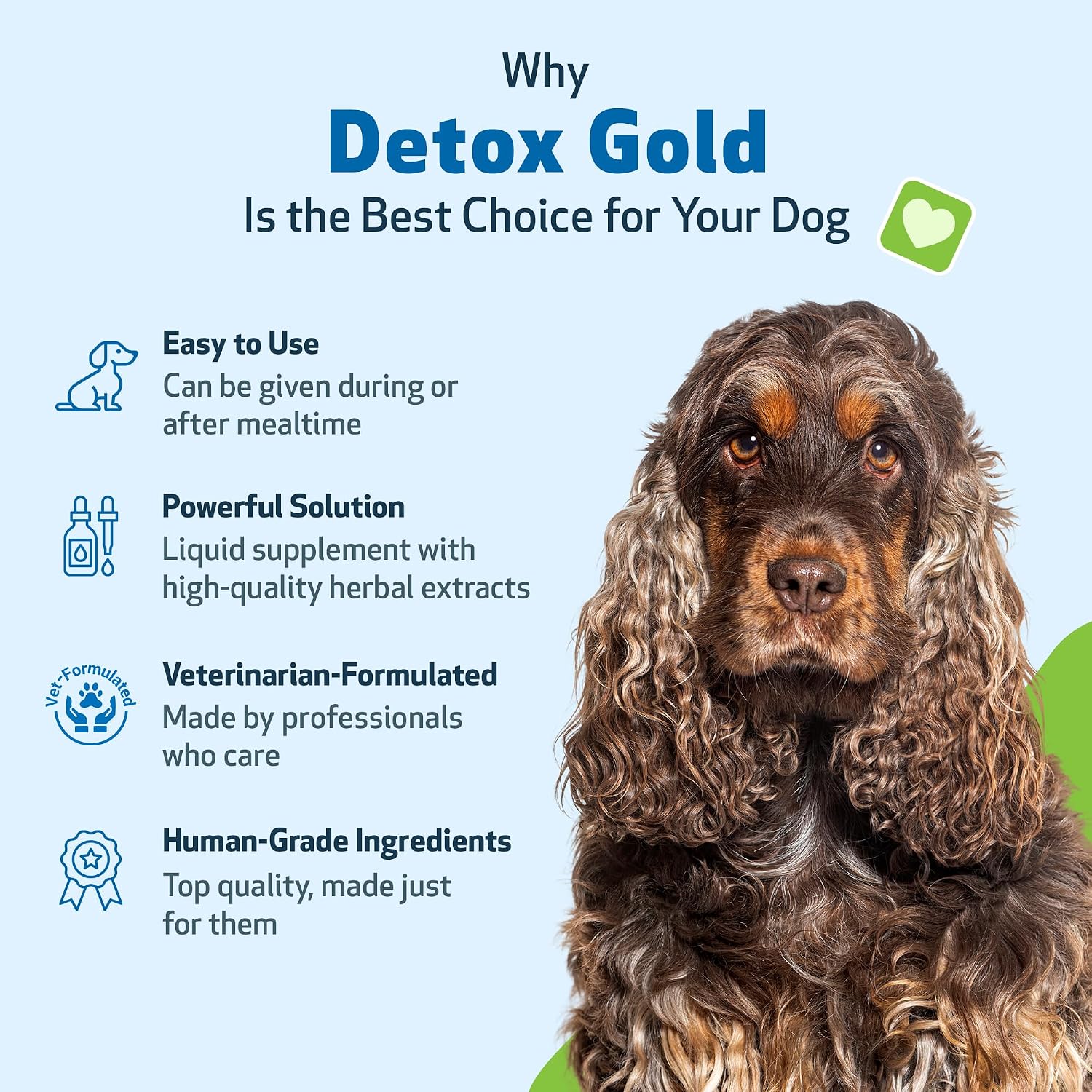 Pet Wellbeing Detox Gold for Dogs - Gentle Detox Herbal Supplement with Nettle, Blessed Thistle, and Burdock - 59 ml