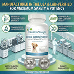 Nutrition Strength Immune Support for Dogs - Turkey Tail, Reishi, Shiitake, Maitake Mushroom Complex - Senior Dog Health - 120 Chewable Tablets