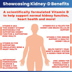 Kidney Restore & Kidney-D 2-Pack – Cápsulas para Apoyo Renal con Vitamina D y Probióticos