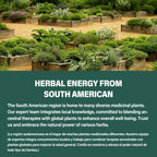Cápsulas de Castaño de Indias y Diosmina para la Circulación - Suplemento Herbal 10 en 1 - 90 Cápsulas