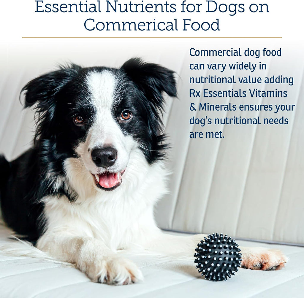 Rx Vitamins Essentials for Dogs - Multivitamínico y Minerales para Perros - con Spirulina Azul, Algas Kelp y Cardo Mariano - Polvo Completo de Vitaminas y Minerales - 227 g (8 oz)